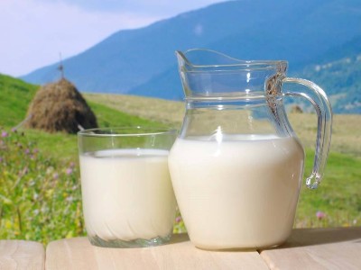 牛奶板式換熱器