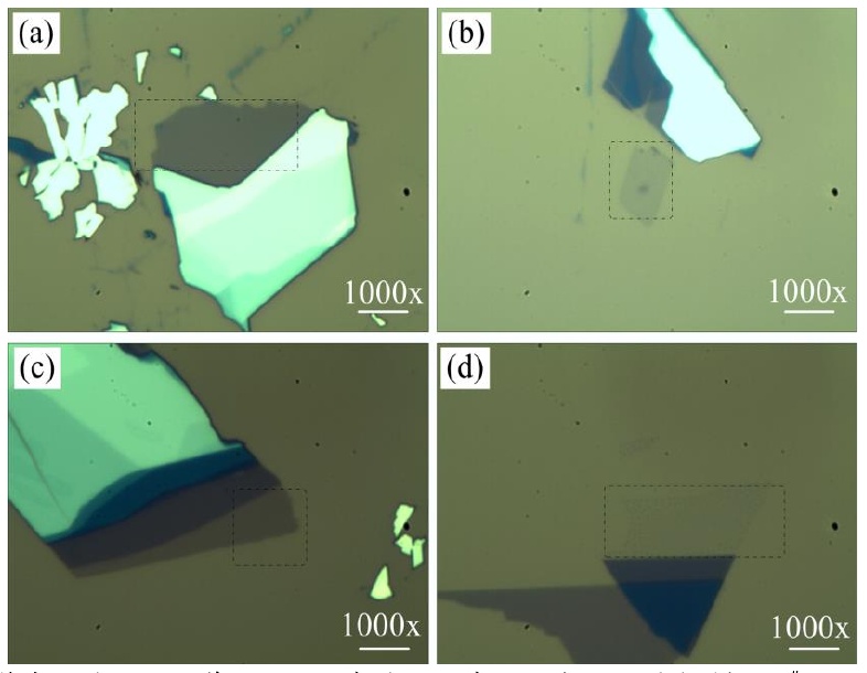 圖 3.3 低溫氧等離子體處理后單層 M o S 2 薄膜的光學(xué)顯微鏡圖。（a）樣品 1 # 的光鏡圖，（b）樣 品 2 # 處理 1 0 s 的光鏡圖，（ c）樣品 3 # 處理 2 0 s 的光鏡圖和（ d）樣品 4 # 處理 4 0 s 的光鏡圖。